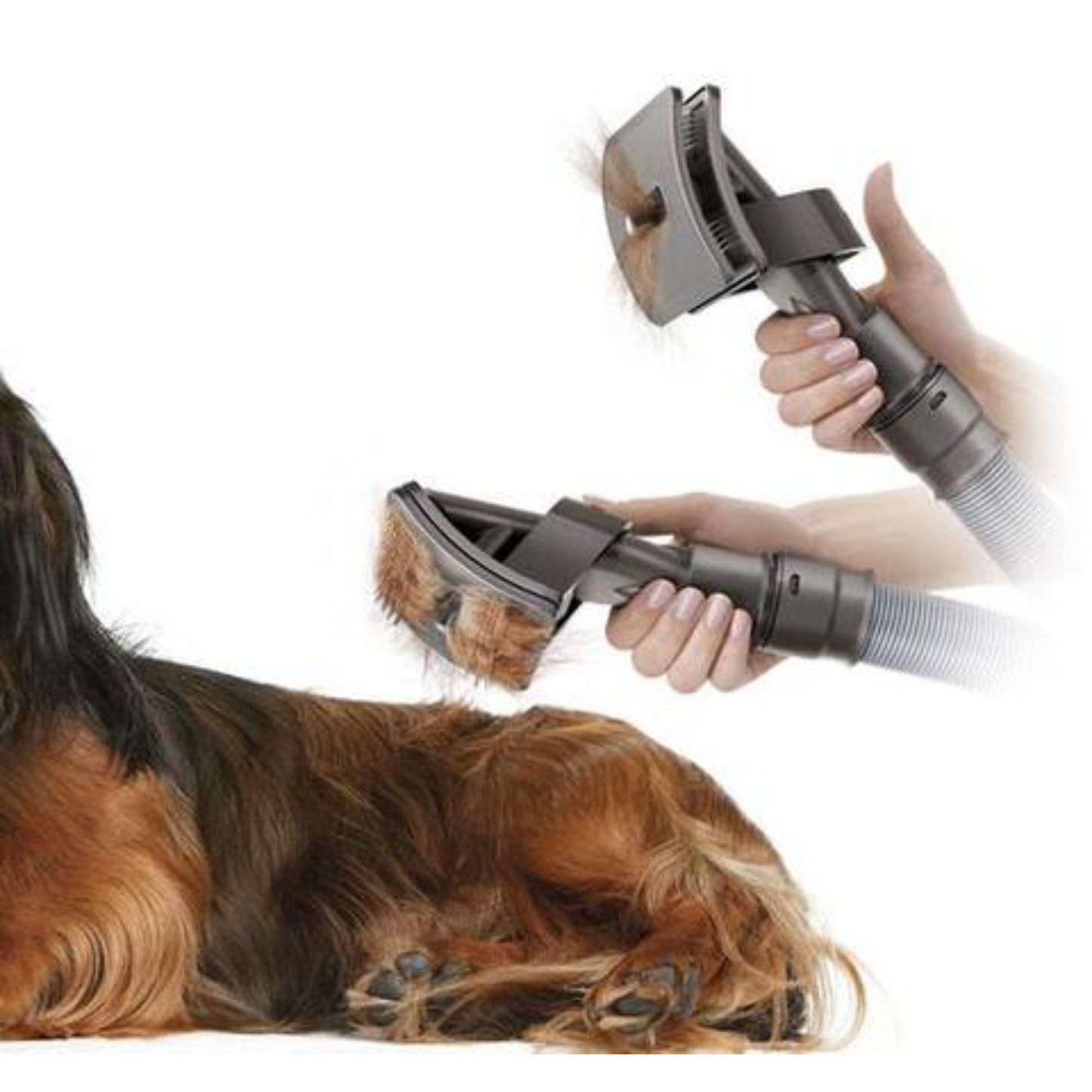 Grooming Vacuum Attachment - Pets Market