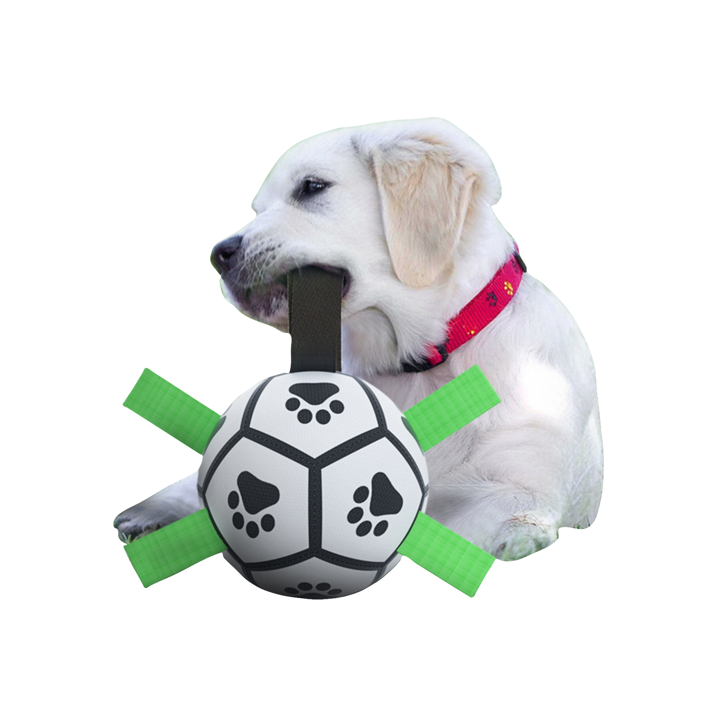 Tug-of-War Ball - Pets Market