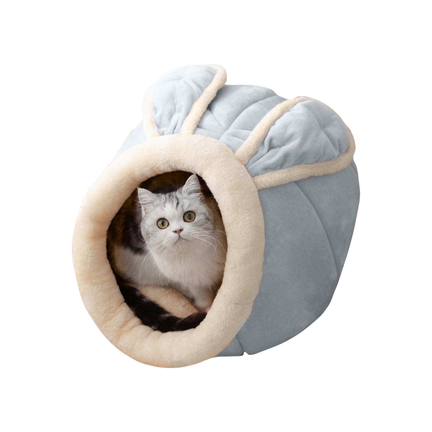 Enclosed Cat House