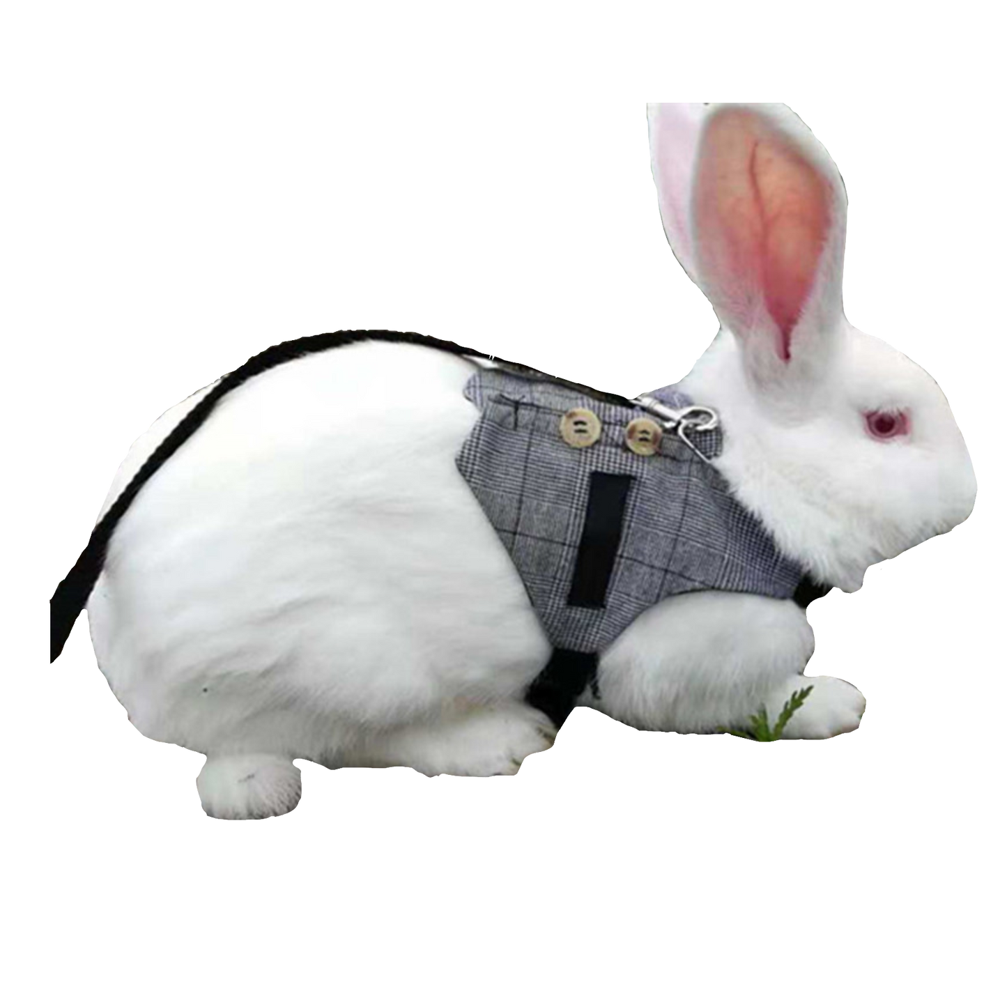 Fancy Vest Harness - Pets Market