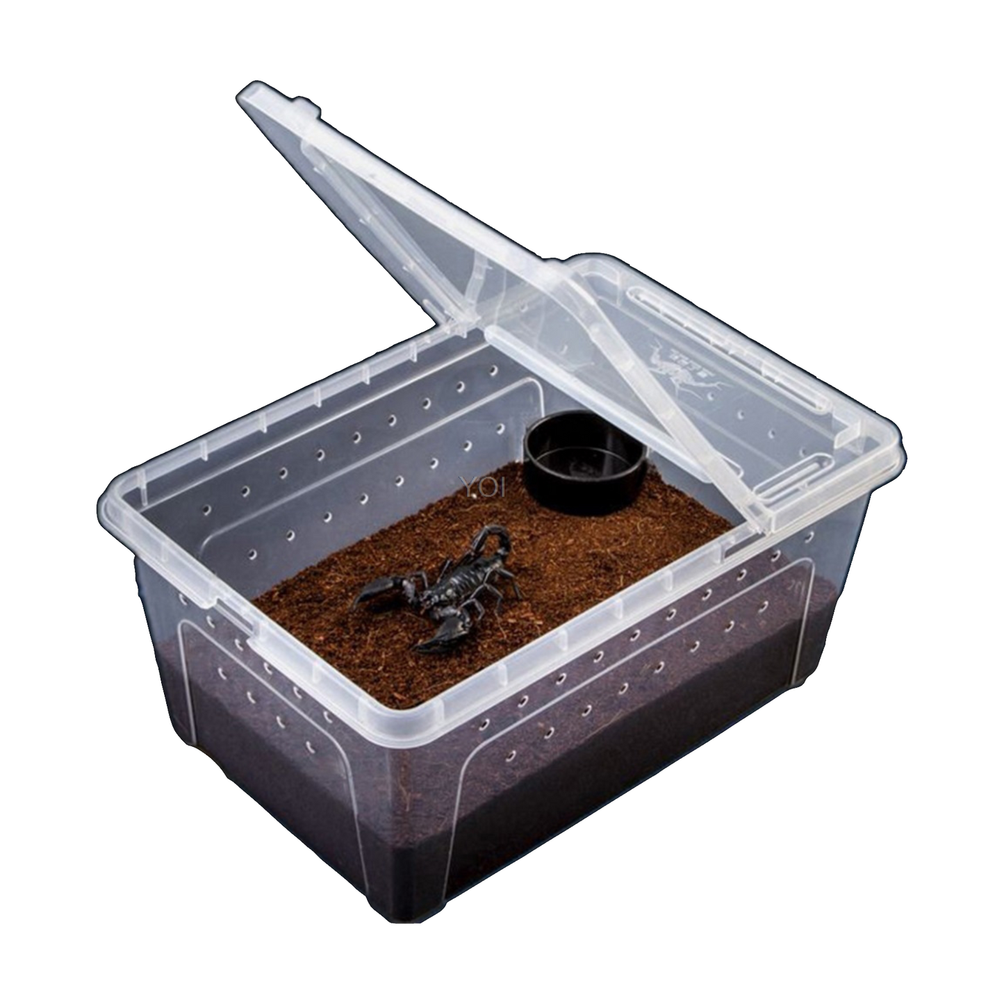 Transparent Feeding Box - Pets Market