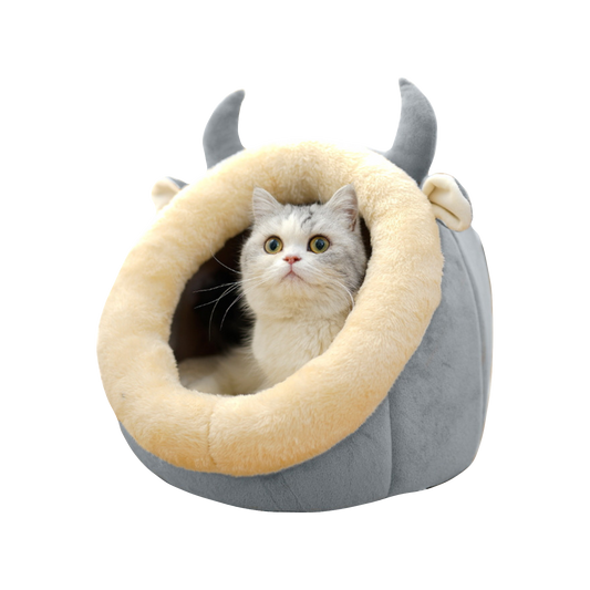 Enclosed Cat House