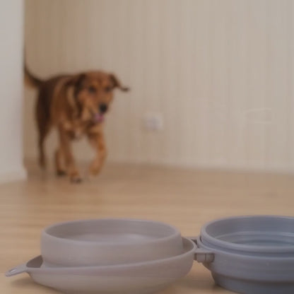Collapsible Double Bowl